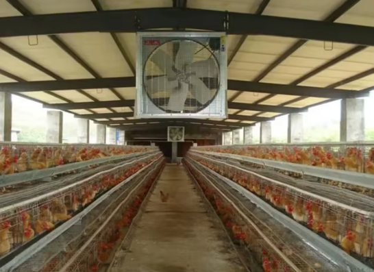 controlled sheds paksitan